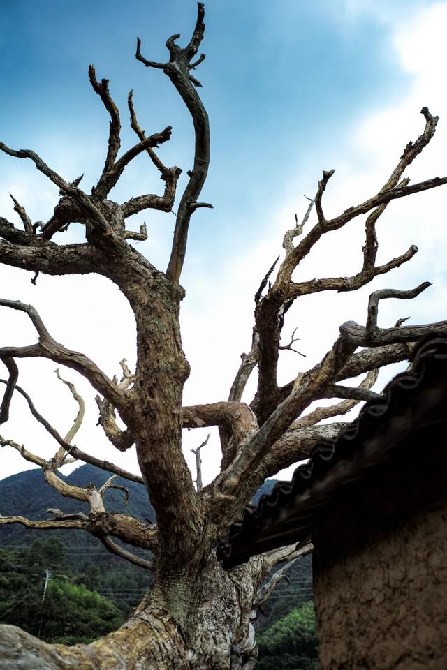 逛古村，喝咖啡，高端的度假就是这么朴实无华