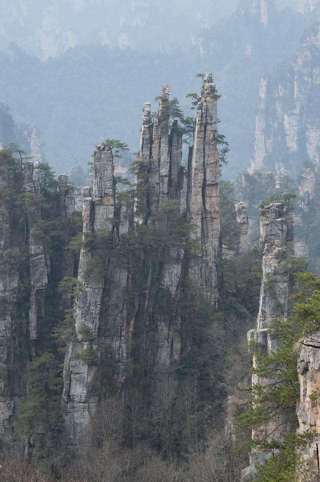 张家界国家森林公园——天地有大美而不言