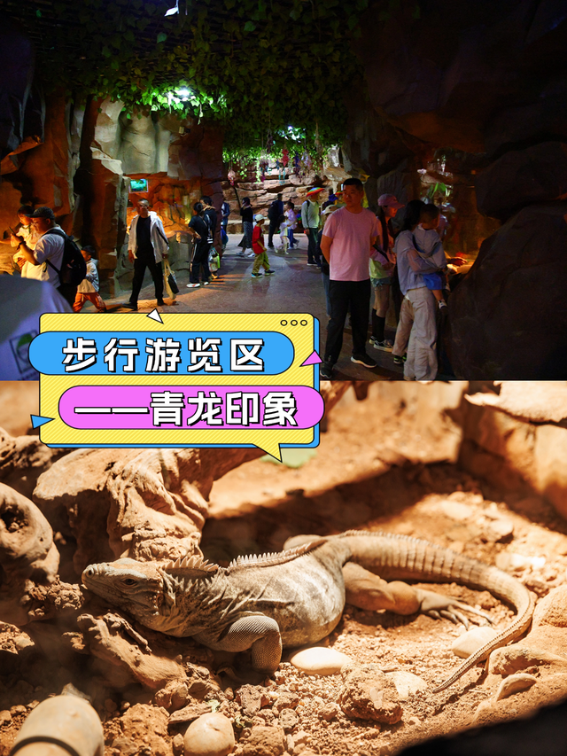 济野大放价！9月去太划算了，打卡攻略让你不错过每一处精彩！