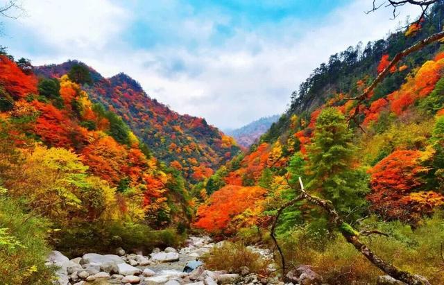 我竟然发现，唐家河红叶居然如此好看！