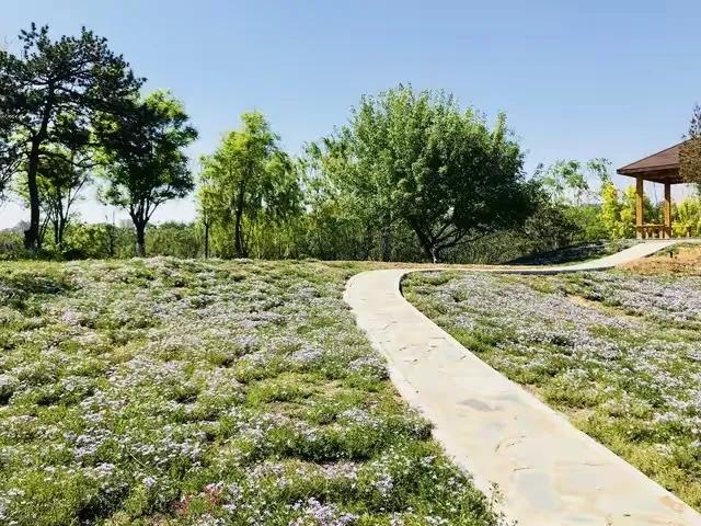 两性相处：女人最讨厌男人触摸的3个地方，希望男人能明白