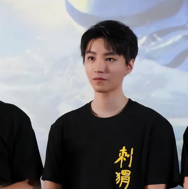 全红婵做梦也没想到	，自己随手一个举动，竟给王俊凯惹了个大麻烦