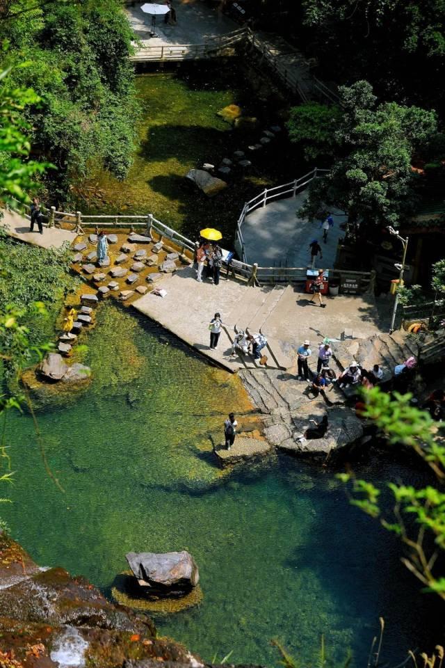 都市热浪求生？鼎湖山21℃天然空调已开机！速领攻略→