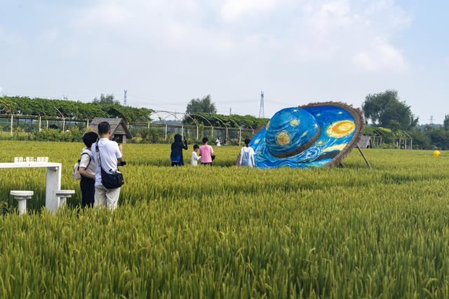 辽宁沈阳：一处画在田间人在画中的景区吸引来自四面八方的游人