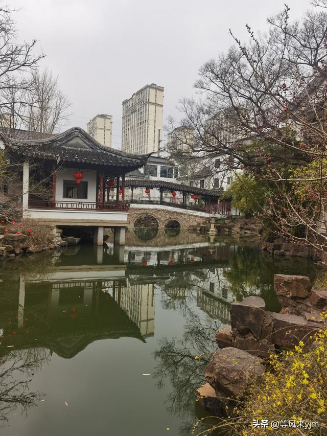 突然发现，上海周边这两个小城，就是个黄金旅游地，妥妥的后花园