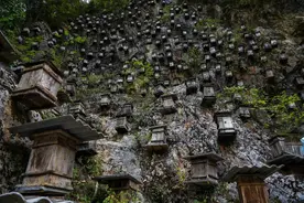 湖北与重庆交界有个地方，风景绝美如童话，深处更是禁区非常神秘图片