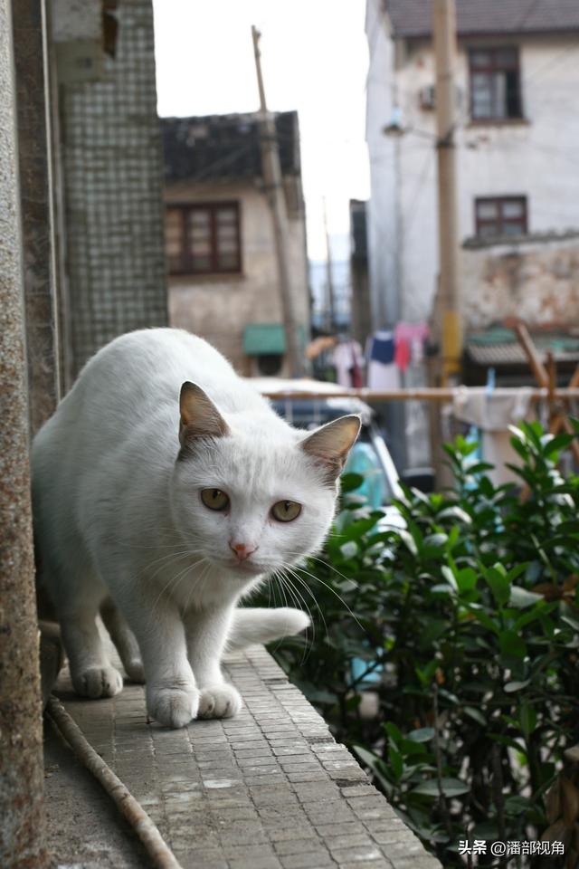 无锡记忆：2007年10月，无锡周山浜的市井生活