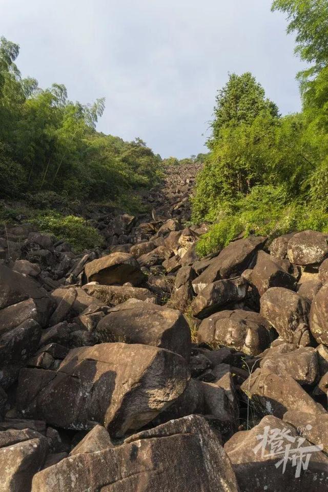 突然火了！有杭州人说，“我家四五代人都住在这里，根本就不知道......”
