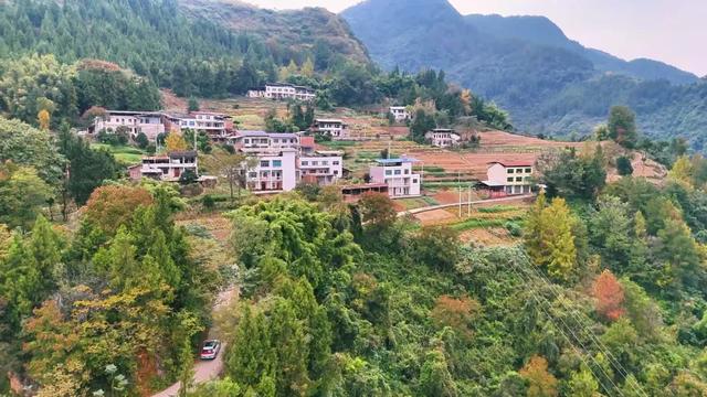 重访开州岳溪善字山:与一座山村的秋日对话,追寻记忆中的乡恋