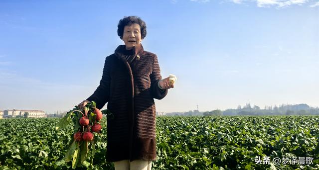 周末新玩法：云梦博物馆看秦简，新马村拔萝卜，武汉家庭乐翻天