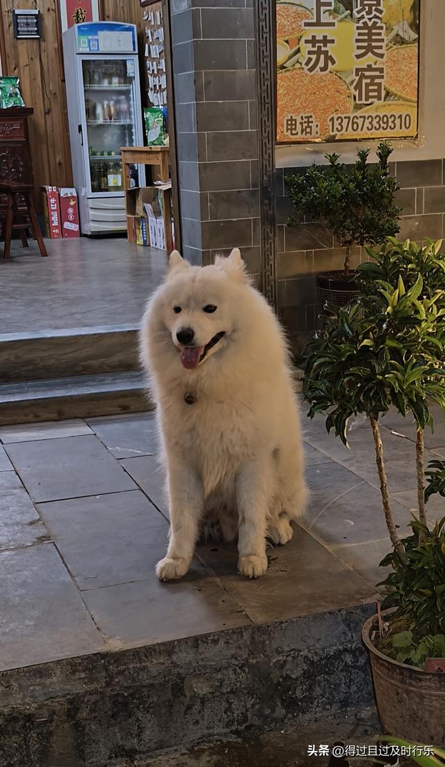 婺源游记-01慢品人间烟火