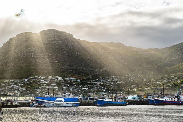 血泪教训！25分钟航程让我湿透，开普敦海豹岛游览必看避坑指南