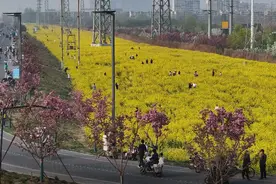保马来了丨干净整洁！保定全力打造美丽保马赛道图片