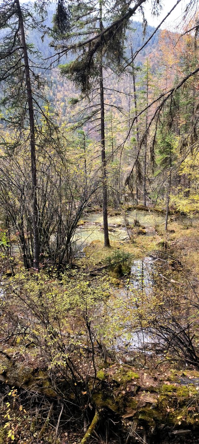 神仙池（一）竖幅