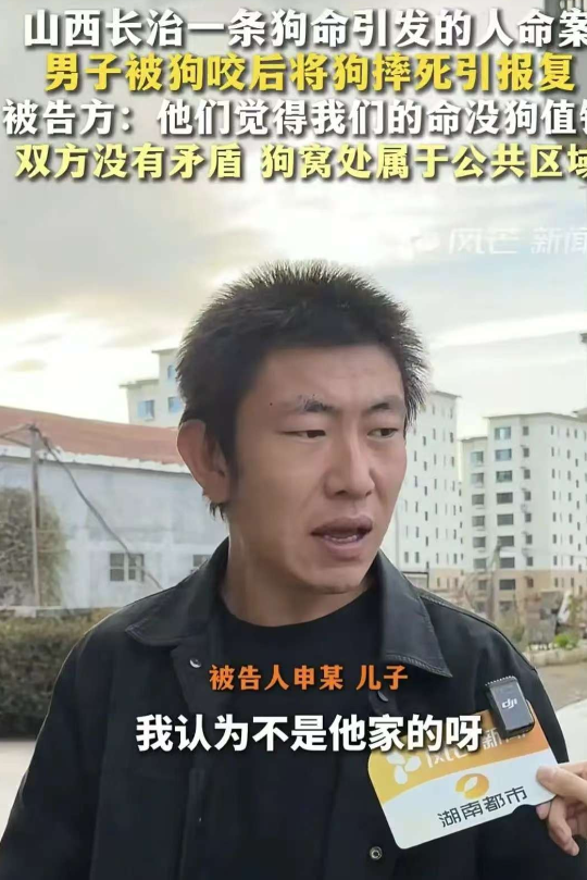 狗咬人事件再升级！李律师爆料，申家申倩才是最清醒	、最理智的人