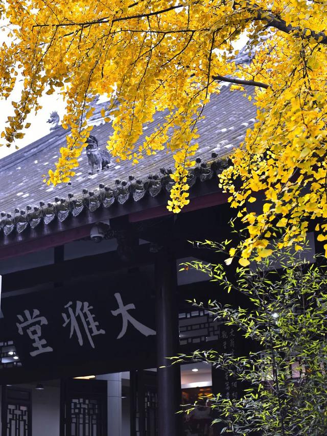 还起什么标题，美不美你们直接看！