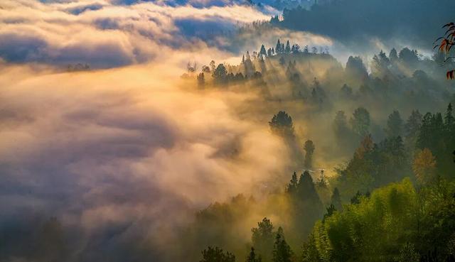 仙气飘飘的重庆🥳，美成屏保，来晒图～