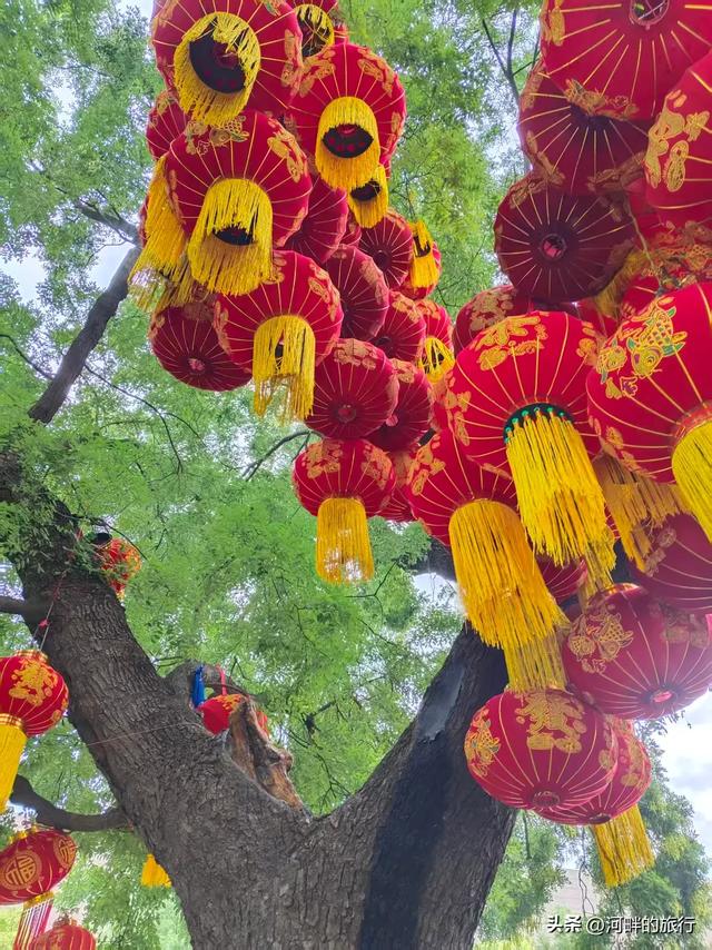 新乡市城里十字大槐树