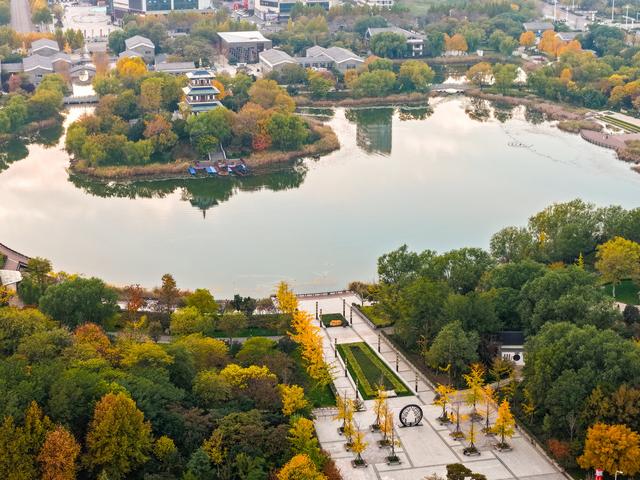 初冬访复圣文化园：与色彩和哲思对话