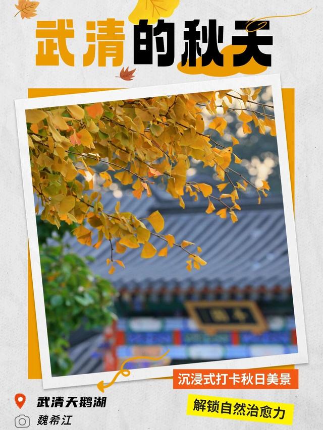 嗨，你的秋天留住了吗？