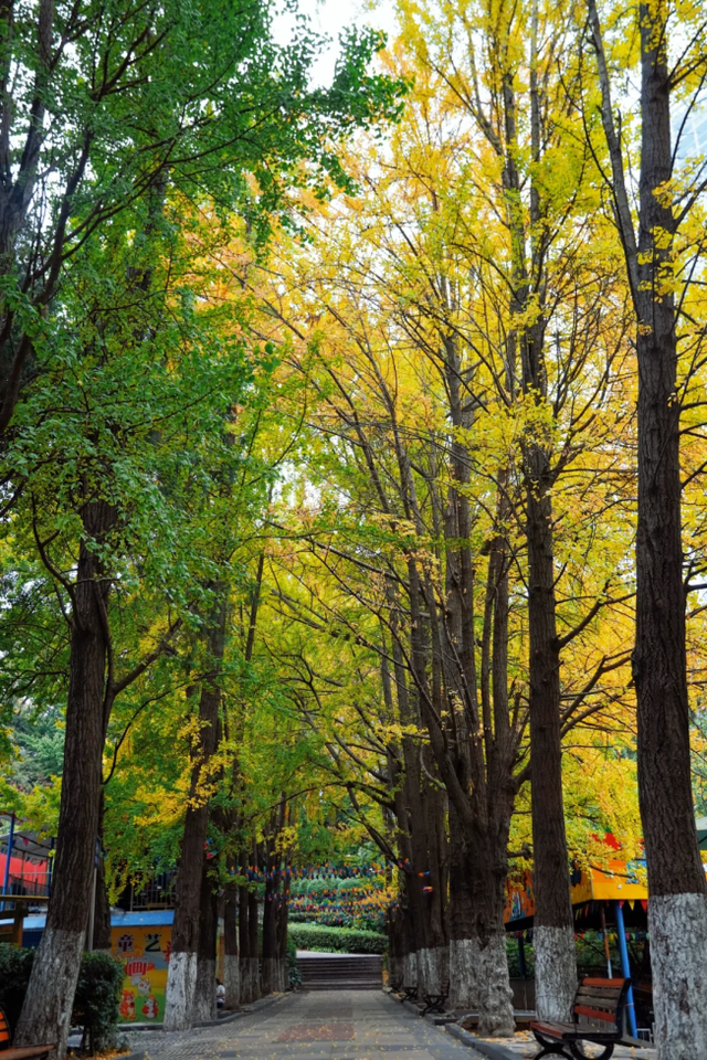 从街角到古村，一键解锁贵阳的秋日浪漫