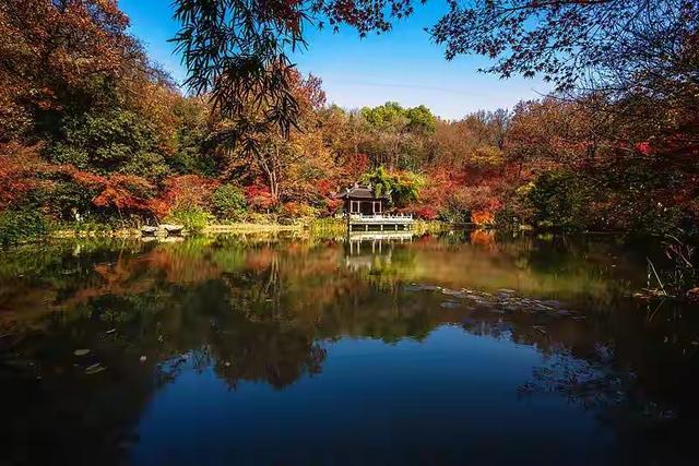 霜降已到全国红叶上线中！这四大“出片宝地”美到封神！