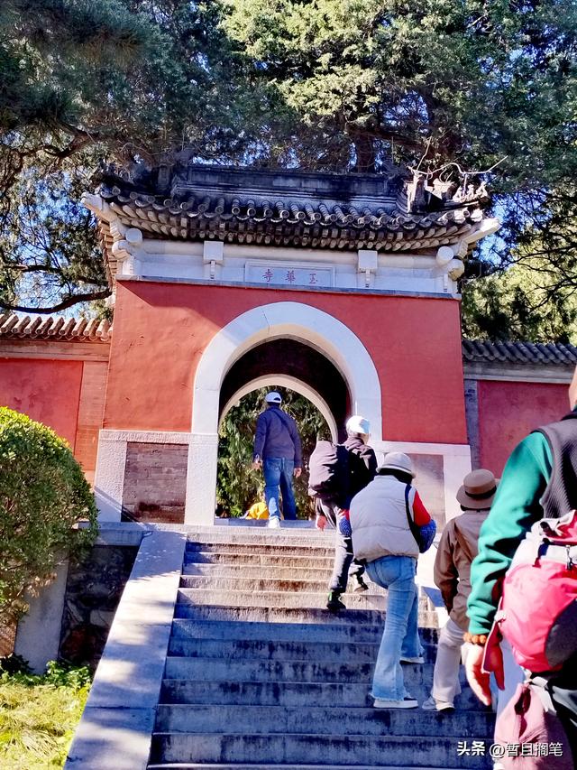 以我4次经历，带你打卡北京香山，北京的朋友请补充