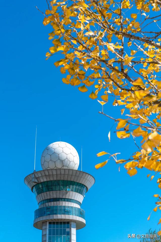 限时绝美!长沙初冬“顶流”上线