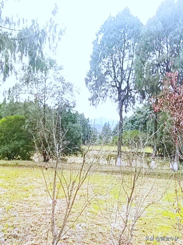 故地重游，感悟岁月沉淀，听听老一辈眼中的朱总背后故事让人动容