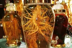 三味黄金搭档泡酒法！熬夜虚胖、失眠手凉的朋友速存，错过等一年图片