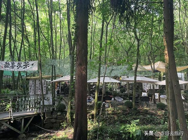 成都周边可乘凉的寺庙，占据绝对优势，25度左右的夏天，不要门票