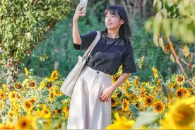 事业编，汉阳选聘岗位招15人！图片