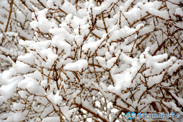临夏：所有的蛰伏，都在等这一次苏醒