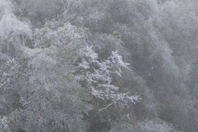 “云赏”怀集的冰雪世界