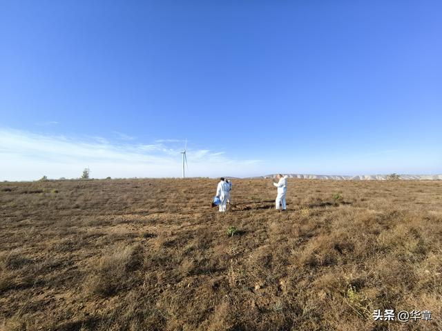 旱塬涅槃：张家塬乡，一座国家级农业主题公园的梦想