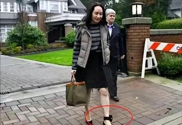 中国芯片专家在米兰被捕，中方开始出手，仅一招让美吃哑巴亏