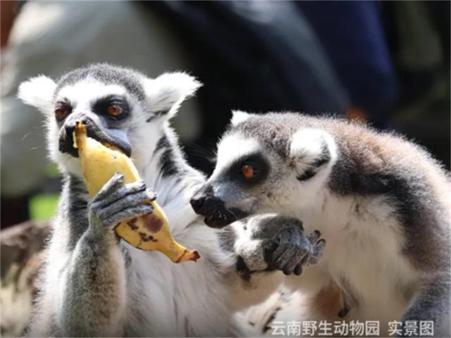 湄旅开学季 | 走进没有天花板的自然课堂！