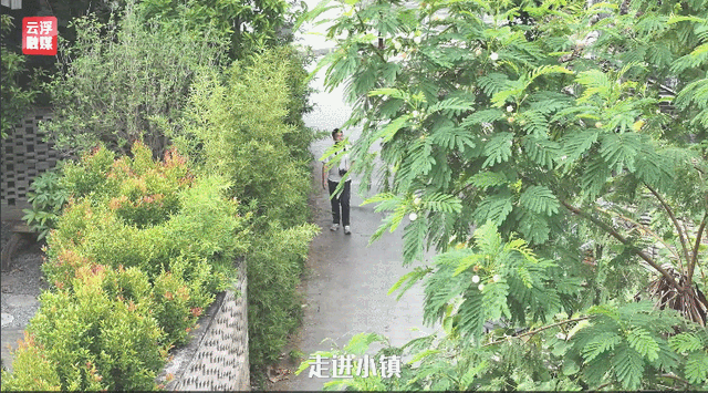 官宣！云浮要去内蒙古 “交换冬天”！