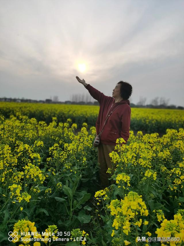 江苏是我的福地，更是我自驾游的圣地所到之处有宾至如归之感