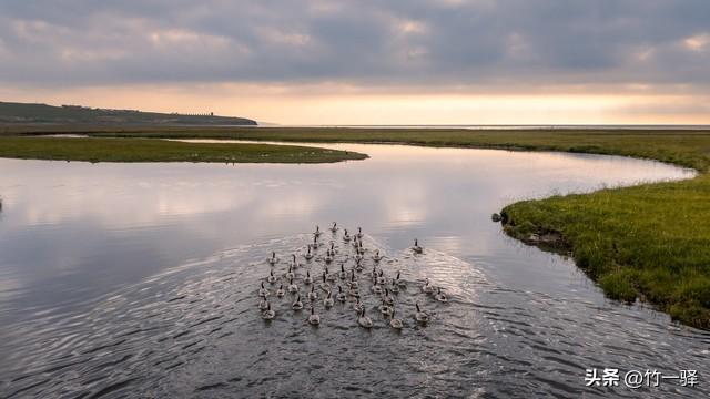 青海布哈河湿地：青海湖的母亲河