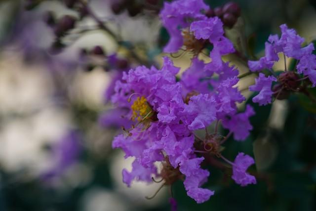 巨蟹座要乐醒了，1月9日，星期五，你将会遇见你最大的1位贵人