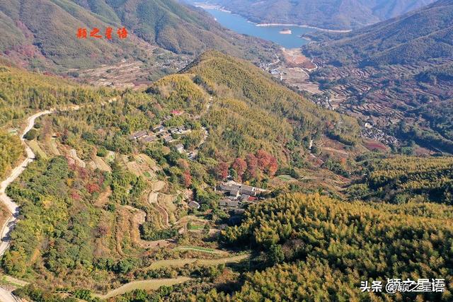 古村、古道、古树群、红杉林，网红村庄比城市还热闹