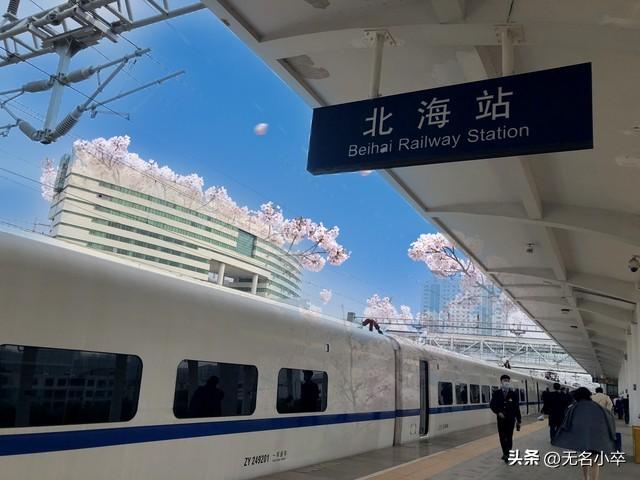 真没想到，广西北海居然有这么多东北人，大家知道为什么吗
