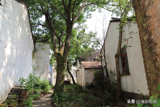 湖州独市村，渐归寂静的百年古村