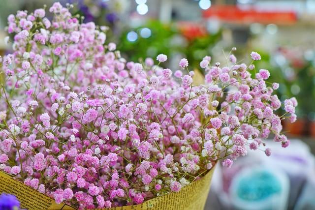 十二星座所代表的花，与花语，分别是什么？