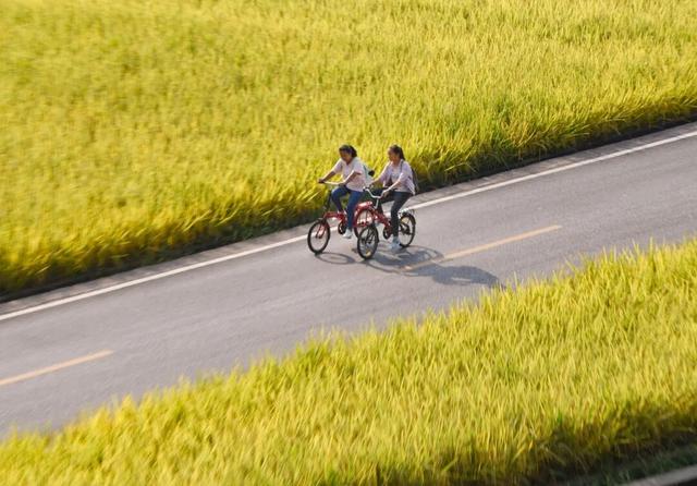 来世界第一高桥 带你领略黔西南绝美的秋天