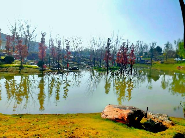 鹊山生态园：一场与自然人文的浪漫邂逅