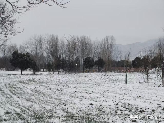 雪后初霁，终南山下麦田披“雪被” 长安黄良宛如仙境！