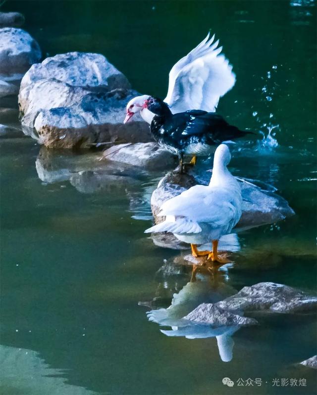 九月：敦煌飞天公园秋色浓