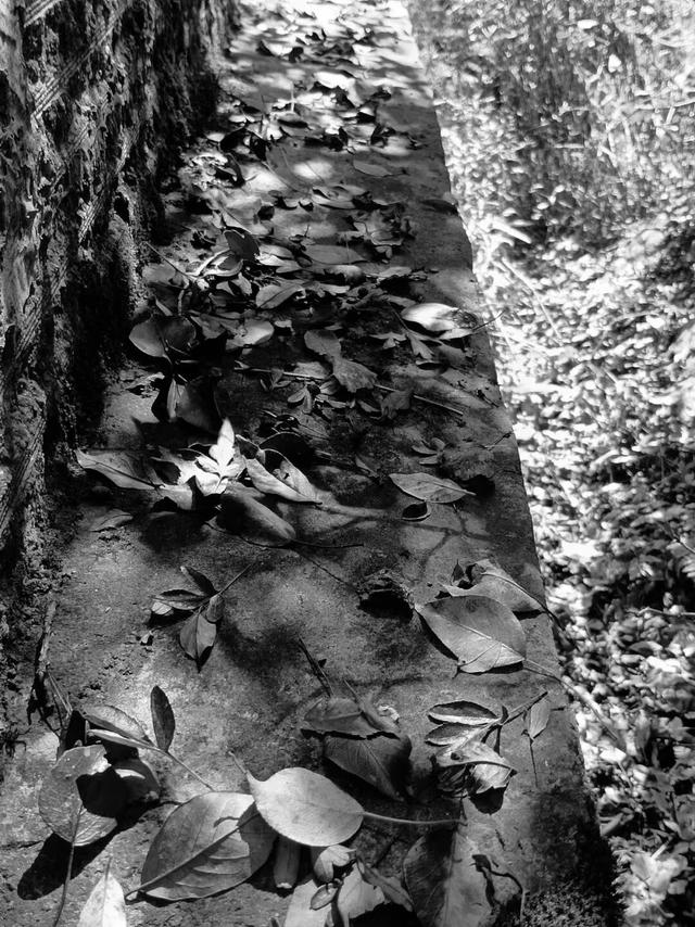去捕捉秋的痕迹，一键点亮贵清山遮阳山景区的秋天！